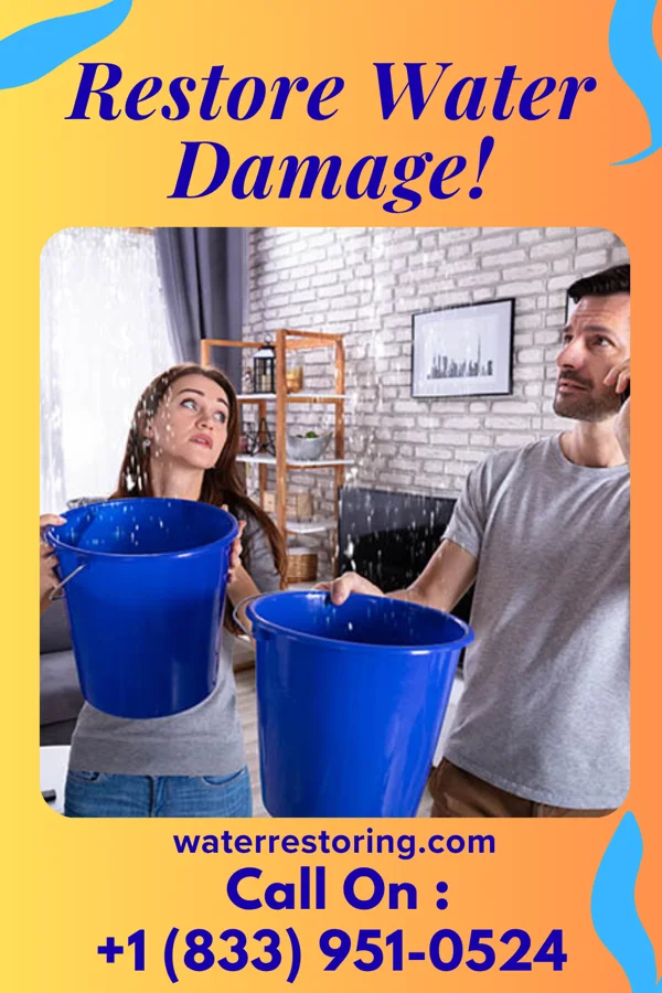 water restoration Golden Water Damage Team Ivanhoe